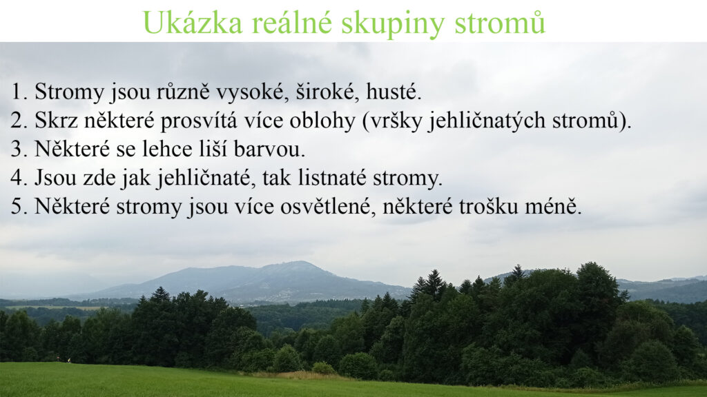 Ukázka reálné skupiny stromů.
